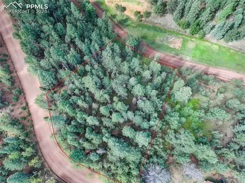 490 Willow Rd, Divide, CO 80814 photo 2