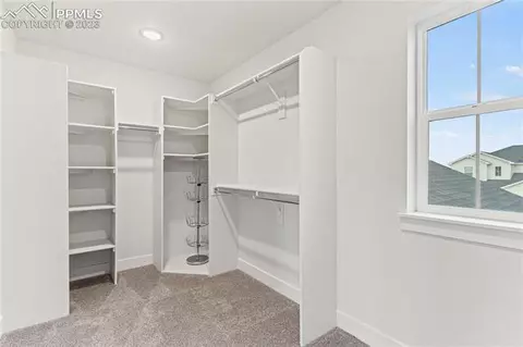 2104 Coyote Mint Dr, Monument, CO 80132 photo 19