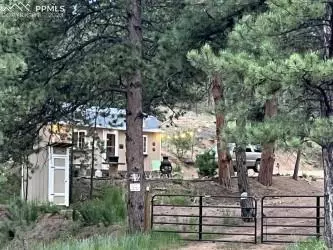 191 Forest Glen Trl, Florissant, CO 80816