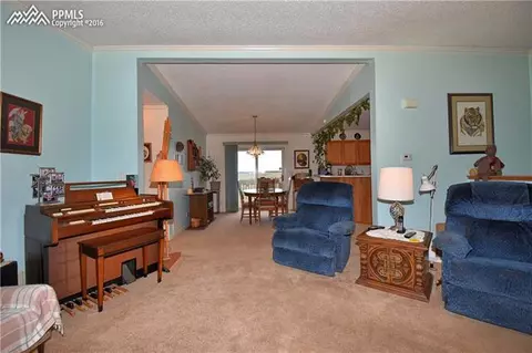 16625 Forest Green Ter, Elbert, CO 80106 photo 5