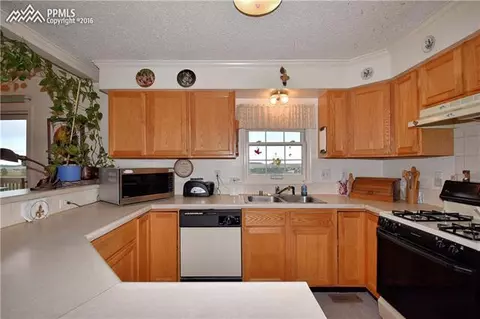 16625 Forest Green Ter, Elbert, CO 80106 photo 8