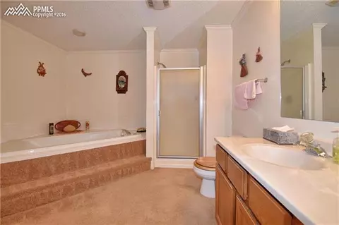 16625 Forest Green Ter, Elbert, CO 80106 photo 12