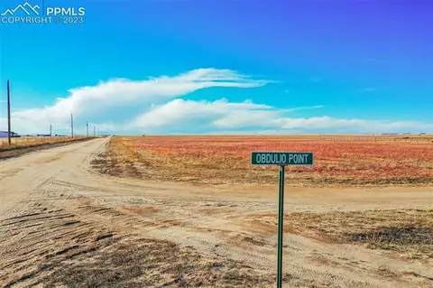 2875 Obdulio Pt, Rush, CO 80833 photo 19