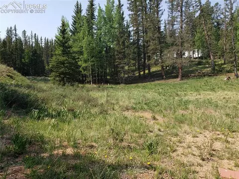 36 Apache Trl, Divide, CO 80814 photo 4