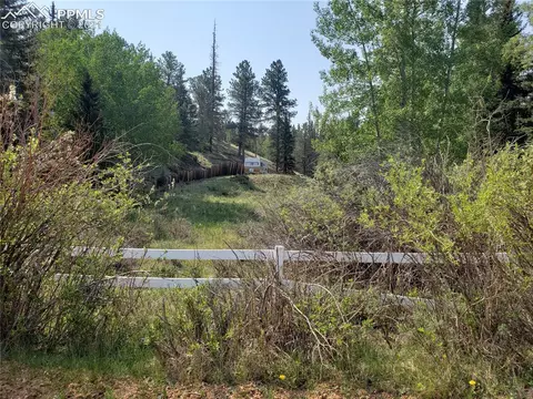 36 Apache Trl, Divide, CO 80814 photo 1