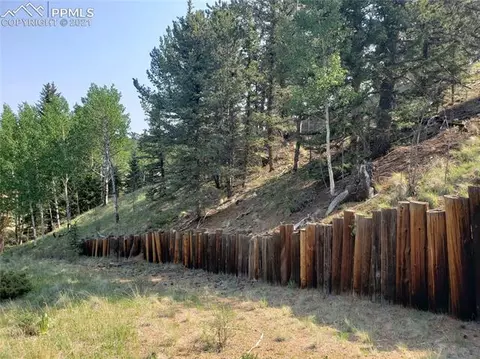 36 Apache Trl, Divide, CO 80814 photo 3