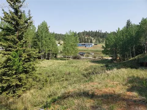 36 Apache Trl, Divide, CO 80814 photo 13