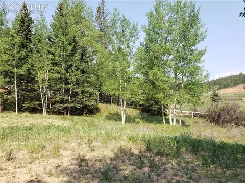 36 Apache Trl, Divide, CO 80814 photo 9