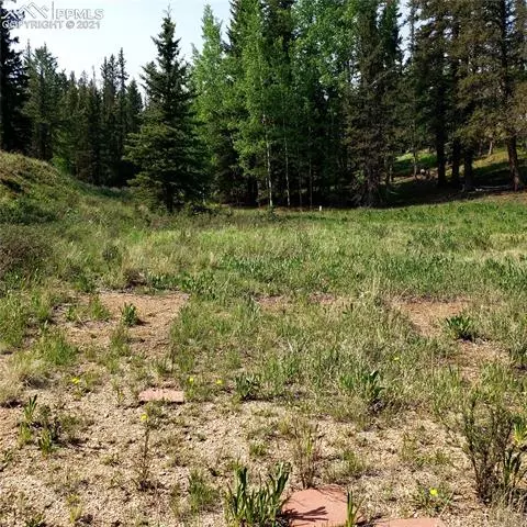 36 Apache Trl, Divide, CO 80814 photo 10