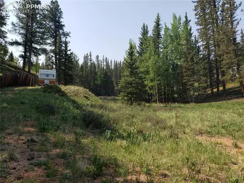36 Apache Trl, Divide, CO 80814 photo 5