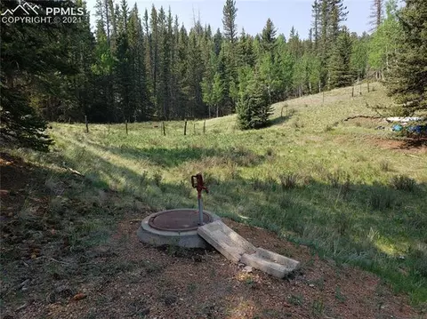 36 Apache Trl, Divide, CO 80814 photo 8