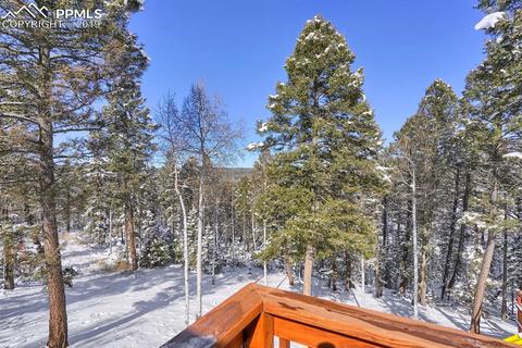 1053 Spring Creek Dr, Divide, CO 80814 photo 22