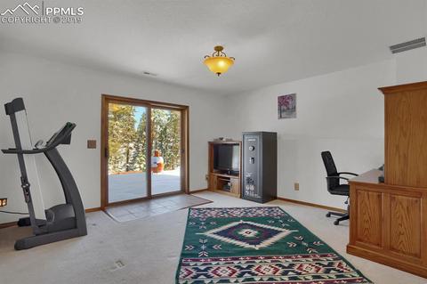 1053 Spring Creek Dr, Divide, CO 80814 photo 19