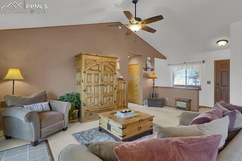 1053 Spring Creek Dr, Divide, CO 80814 photo 4