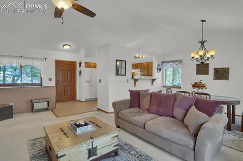 1053 Spring Creek Dr, Divide, CO 80814 photo 7