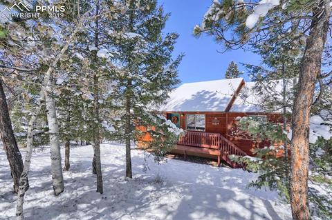 1053 Spring Creek Dr, Divide, CO 80814 photo 2