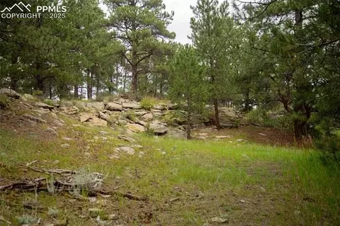 Other - 11503 E Smith Rd, Elbert, CO 80106 photo 21 of 32