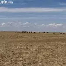 36545 Bowen Rd, Yoder, CO 80864 photo 1