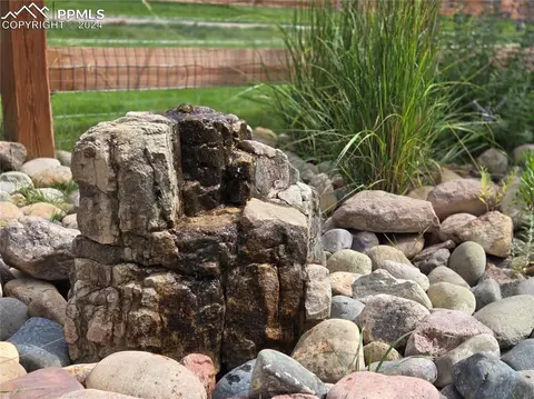 16548 Hallmark Trl, Monument, CO 80132 photo 30