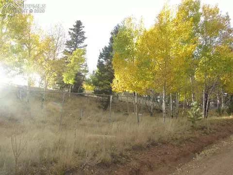 31 Aztec Cir, Divide, CO 80814 photo 5
