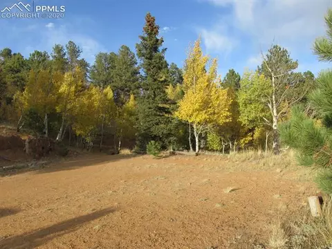 31 Aztec Cir, Divide, CO 80814 photo 3
