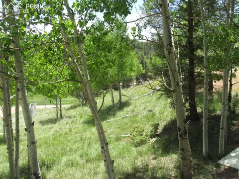 31 Aztec Cir, Divide, CO 80814 photo 1