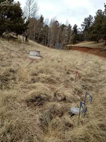31 Aztec Cir, Divide, CO 80814 photo 9