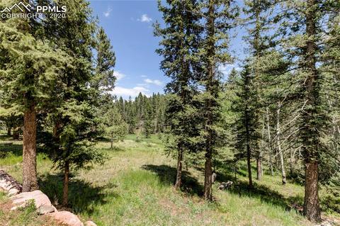 3434 Cedar Mountain Rd, Divide, CO 80814 photo 23