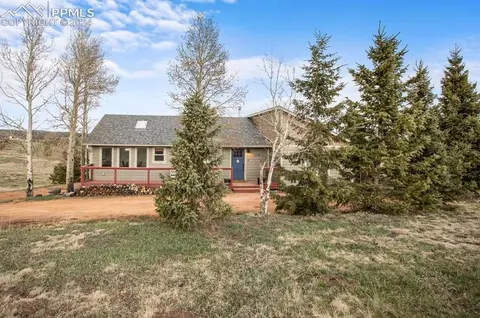115 Brown Pl, Woodland Park, CO 80863