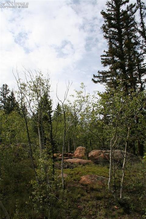 157 Road Runner Ct, Como, CO 80432 photo 1