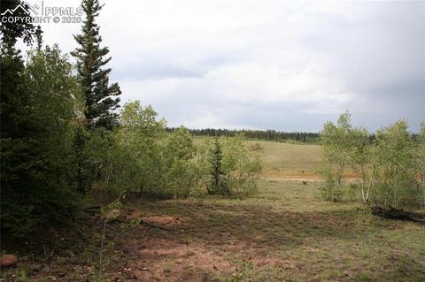 157 Road Runner Ct, Como, CO 80432 photo 4