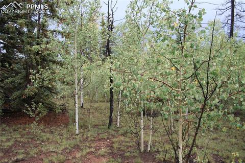 157 Road Runner Ct, Como, CO 80432 photo 3