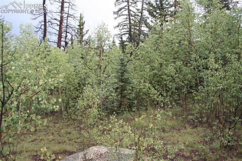 157 Road Runner Ct, Como, CO 80432 photo 17