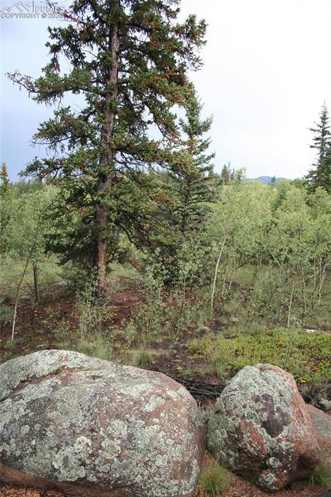 157 Road Runner Ct, Como, CO 80432 photo 25