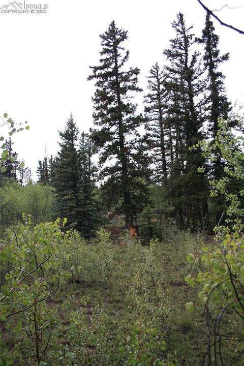 157 Road Runner Ct, Como, CO 80432 photo 23