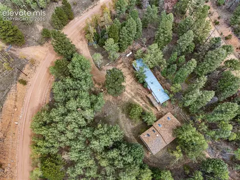 1028 Beaver Creek Dr, Florissant, CO 80816