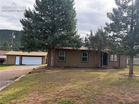 919 N Fullview St, Woodland Park, CO 80863