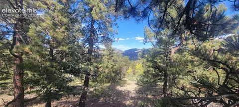 505 Buck Dr, Guffey, CO 80820