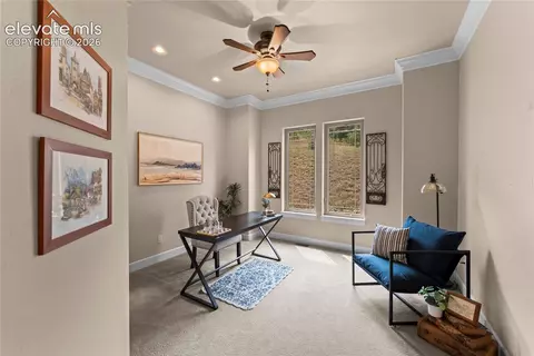 Other - 8465 Aspenglow Ln, Cascade, CO 80809 photo 3 of 13