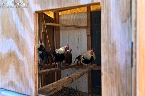 13190 S Lauppe Rd, Yoder, CO 80864 photo 37