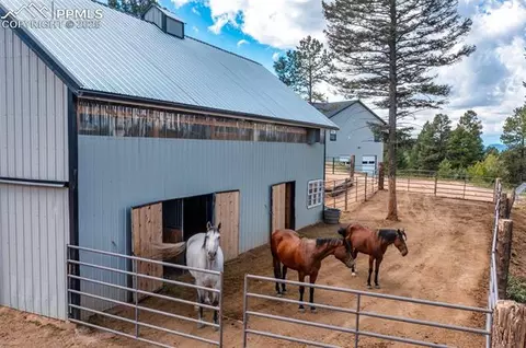 983 Rangeview Rd, Divide, CO 80814 photo 4