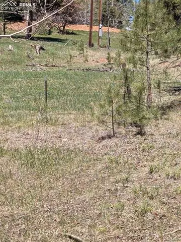 tbd Ute Trl, Woodland Park, CO 80863