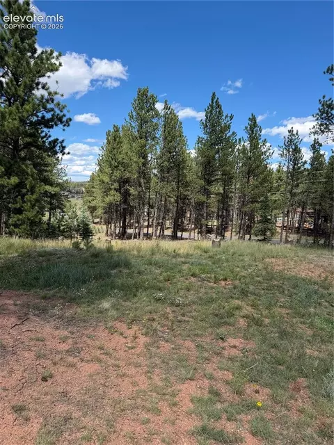 1396 Roberts Ranch Rd, Woodland Park, CO 80863
