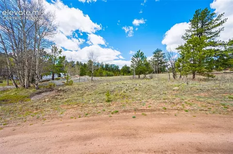 121 Bridle Ln, Florissant, CO 80816