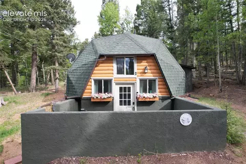776 Jolly Rogue Dr, Divide, CO 80814