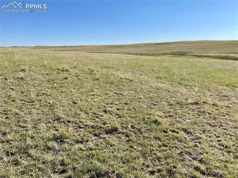 Carpenter Road, Peyton, CO 80831 photo 15