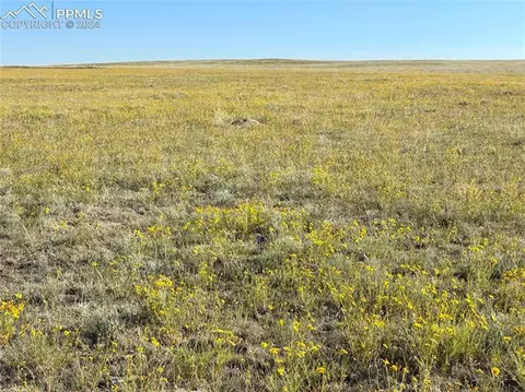 Carpenter Road, Peyton, CO 80831 photo 25