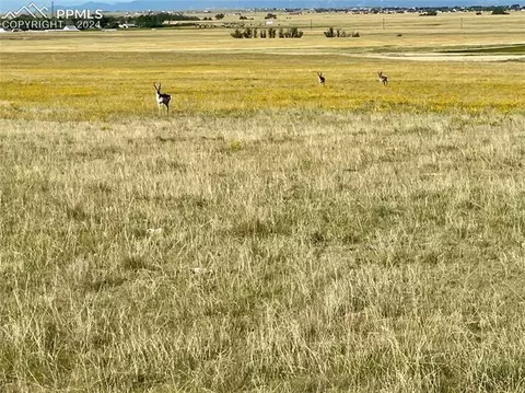 Carpenter Road, Peyton, CO 80831 photo 6
