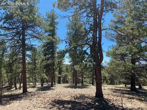 12 S Insmont Ln, Florissant, CO 80816