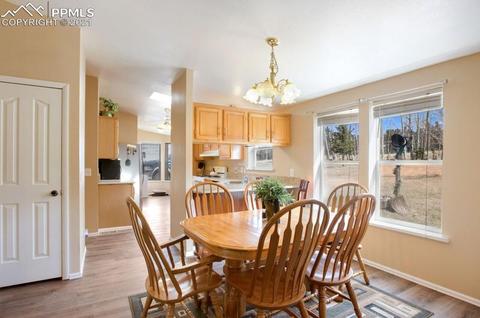 49 Minstrel Dr, Divide, CO 80814 photo 23